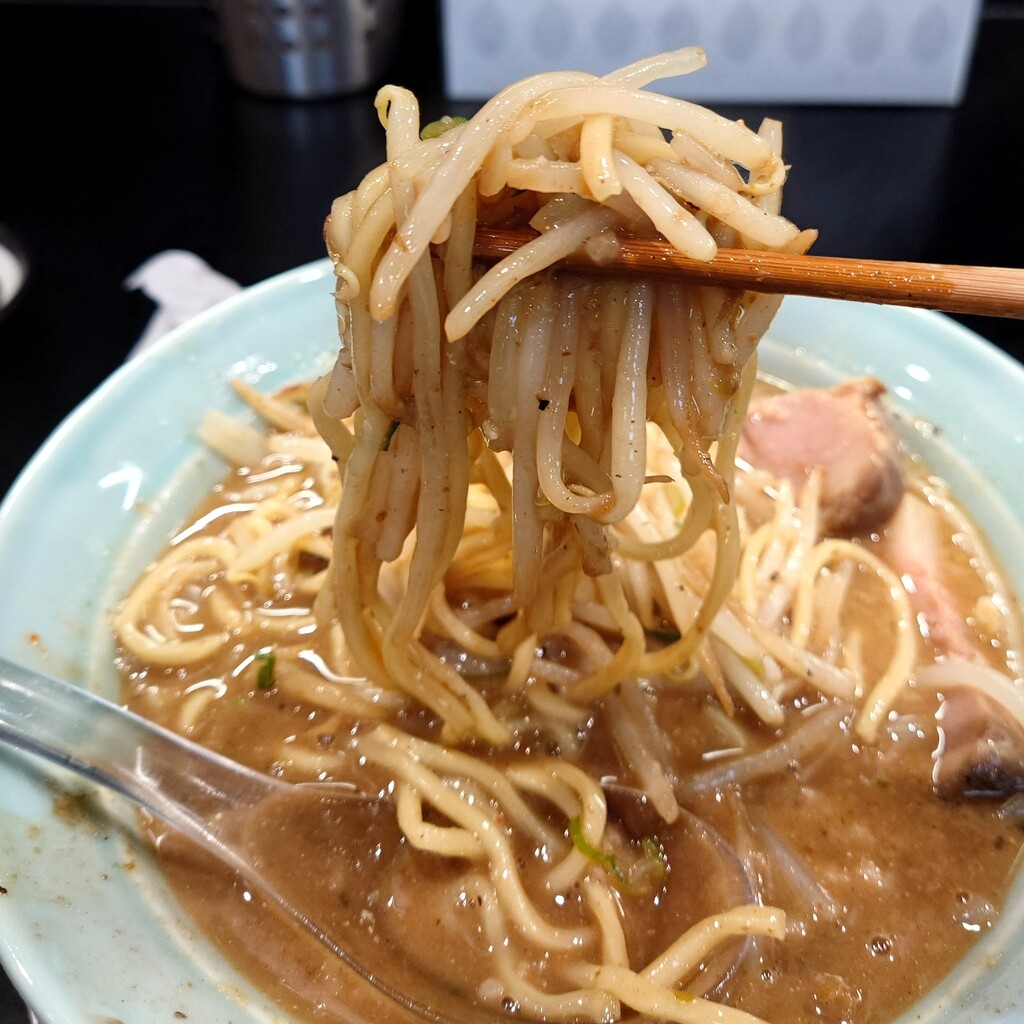 menya 787（麺屋菜花奈）【ニボ豚G麺】＠菊川市加茂 : らぁめん大好き