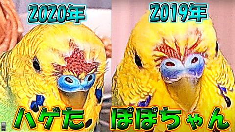 ãµã ãã€ã«ïŒ