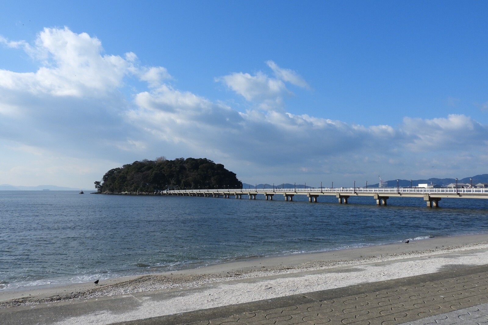竹島 道草しながら歩紀行