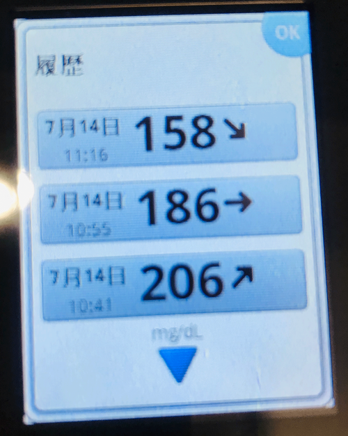 血糖値実験10