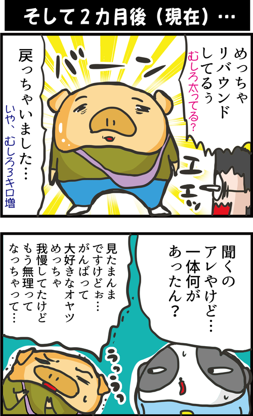 【血糖値】無理な糖質制限に要注意!むしろ合併症リスクを上げてしまうかもしれない…2