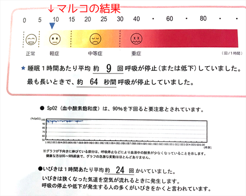 マルコの検査結果
