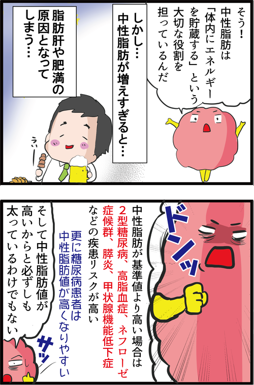 【血糖値】中性脂肪が高いとなぜ怖いのか?低すぎてもNG…!?2