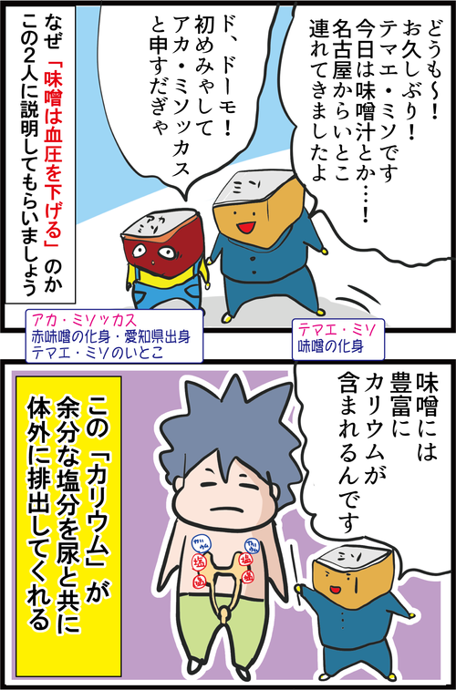 【血糖値】味噌汁が血圧を下げる！？その理由とオススメの味噌とは…？3