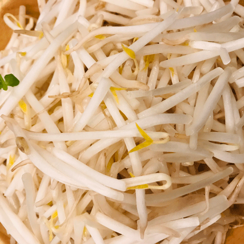 もやし
