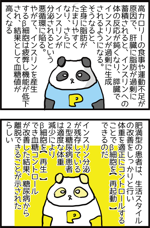 【血糖値改善】ついに2型糖尿病が完治できる日が来た?!5