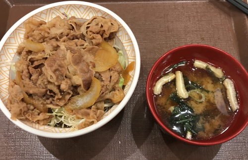 低糖質牛丼実物