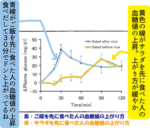 【糖尿病の教育入院7】おすすめの食事のとり方3