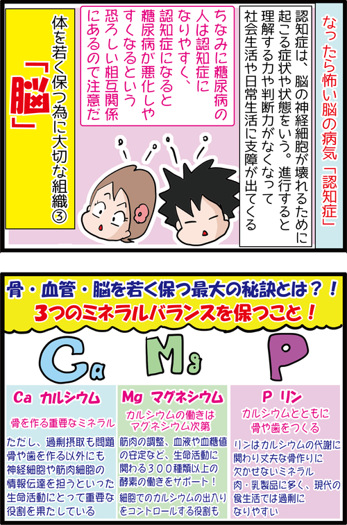 【血糖値】骨・血管・脳を守るための食事の秘訣とは…？2