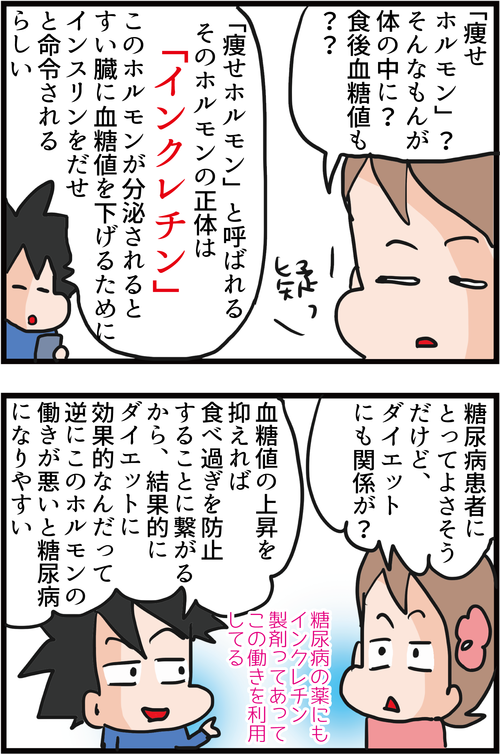 血糖値上昇を抑えてダイエットにもなる痩せホルモンの増やし方とは…？！3