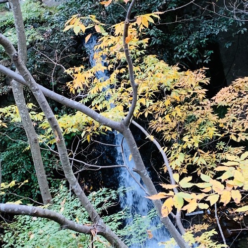 S__29835274
