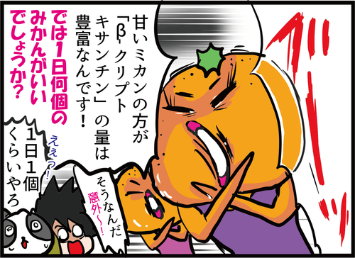 サムネイル252