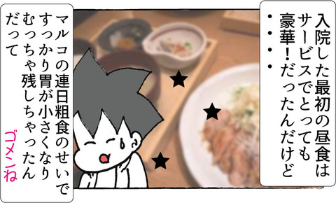 【糖尿病の教育入院1】ついに来た、入院当日!の4