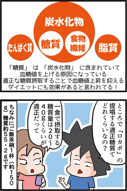 【食後高血糖対策】ロカボで楽しく続けたくなる低糖質生活♪３