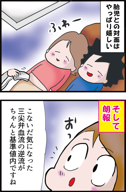 【妊娠5カ月】2度目の超音波検査へ…「羊水検査」をするかしないか…(妻の高齢妊娠編㉘)2