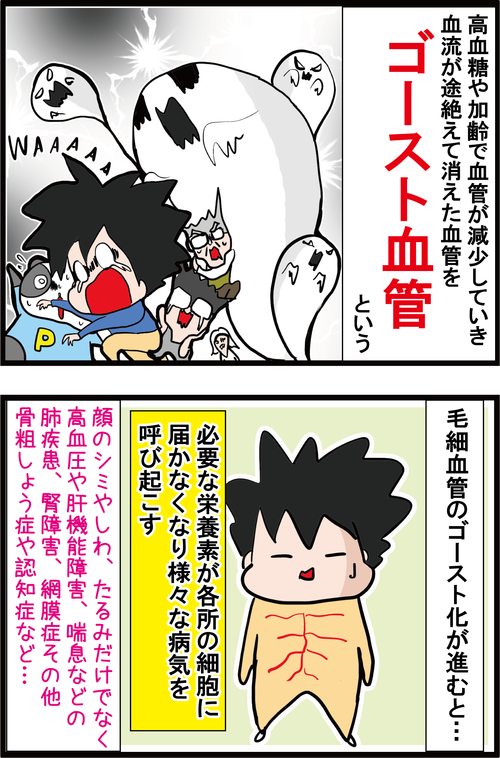 高血糖や加齢で血管が消えるってホント！？血管が若返る神食材特集！（その２）1