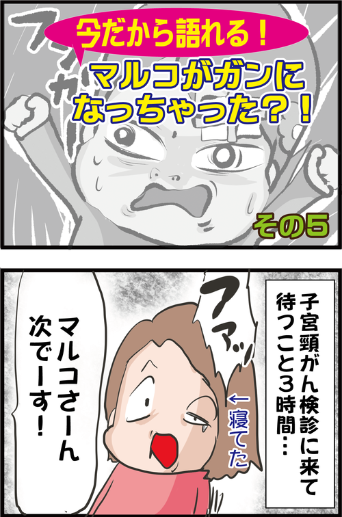 主婦マルコの子宮頸ガン(高度異形成)備忘録 ~発見から手術まで~ その⑤1