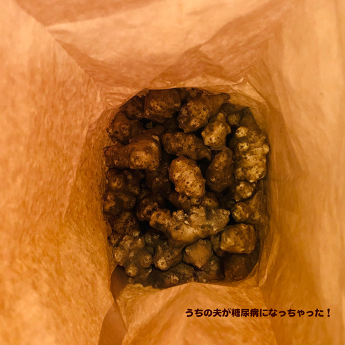 キクイモ3