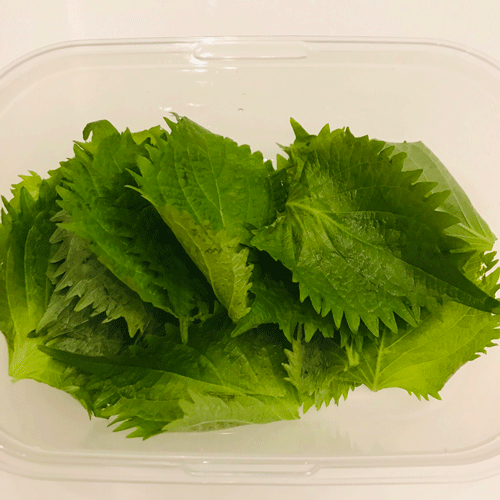 シソつくおき