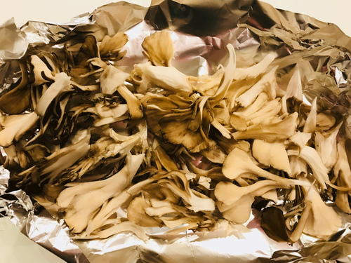 舞茸1