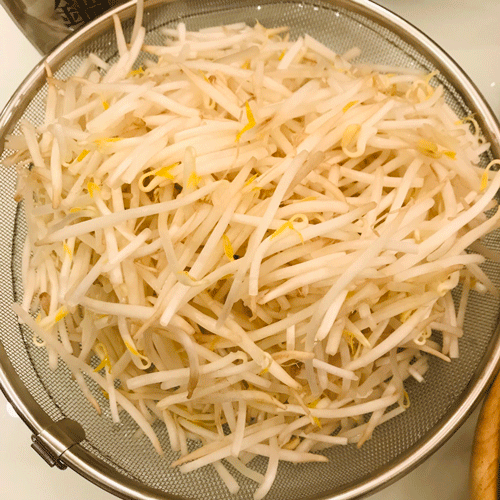 もやし