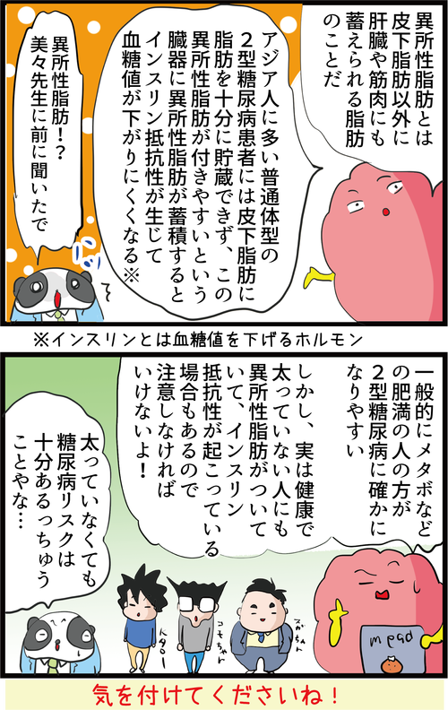 【血糖値】日本人は特に注意!痩せていても糖尿病になってしまう理由とは…?4