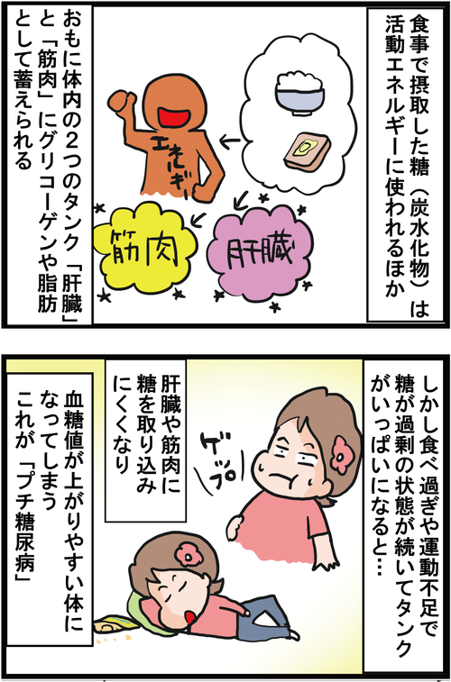 【血糖値スパイク】たった３日でプチ糖尿病状態に！？3