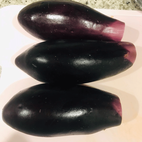 ナス1