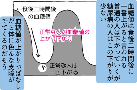 【糖尿病の教育入院4】糖尿病ってそもそも何?!4