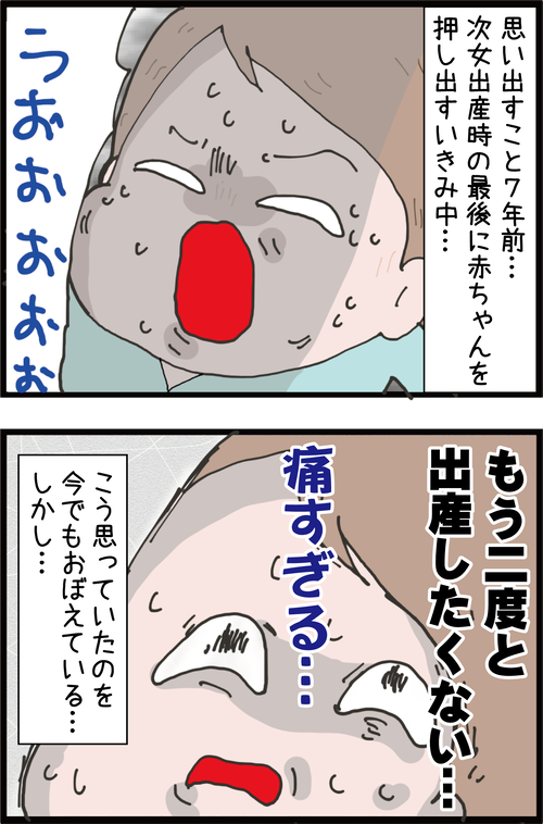 【妊娠9カ月】3人目でも出産の痛みは怖い!無痛分娩を考えてみた結果…(妻の高齢妊娠編57)1