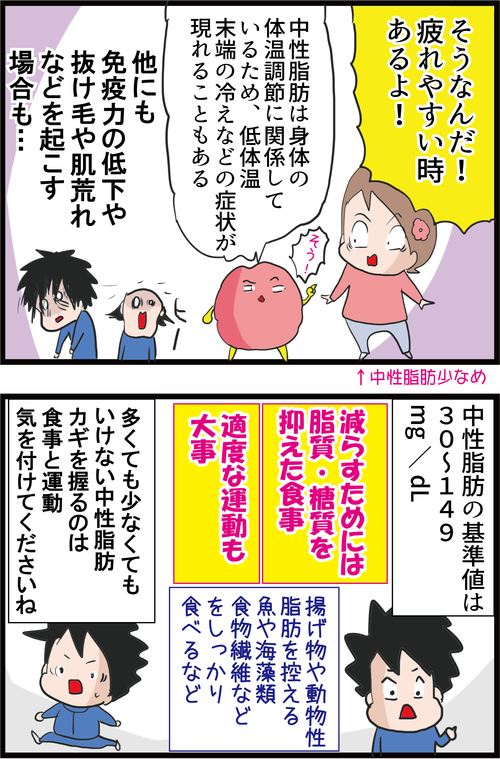 【血糖値】中性脂肪が高いとなぜ怖いのか?低すぎてもNG…!?4