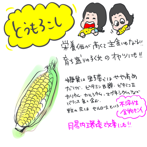 トウモロコシ2