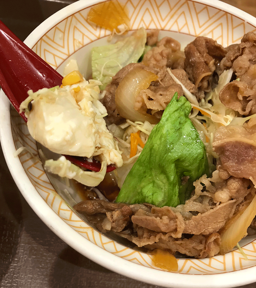 低糖質牛丼の中の豆腐