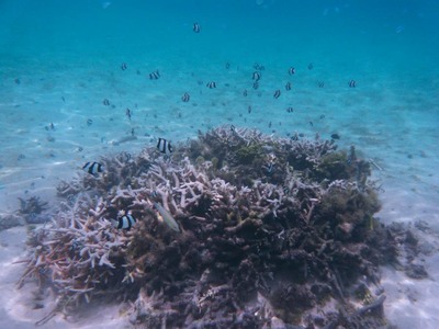 P1170071