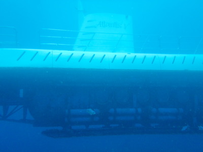 P8220628