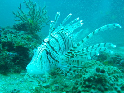P8120501