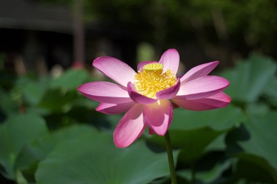 IMG_1956