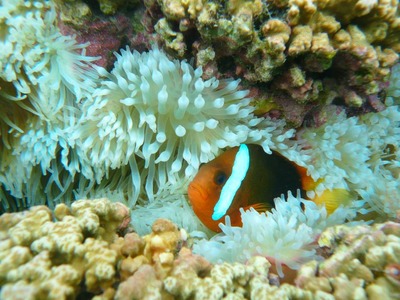 P1170154