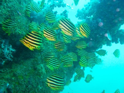 P1020270