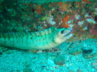 P8120504