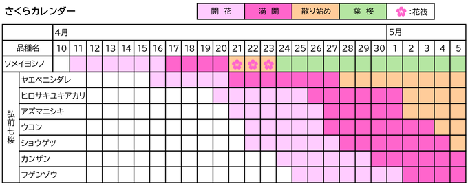 �֥����Ѥ����饫������20260502