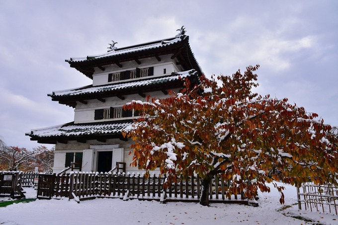 DSC_2321_edited