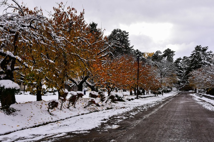 DSC_2343_edited