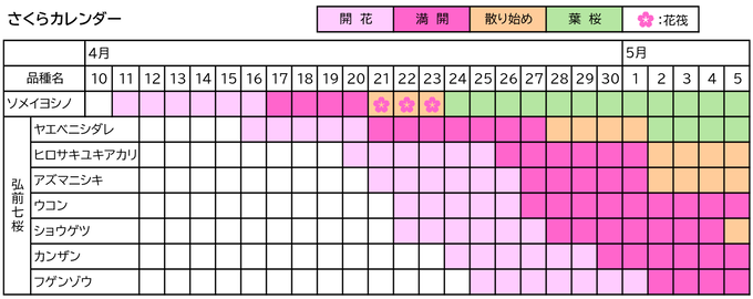 �֥����Ѥ����饫������20260505