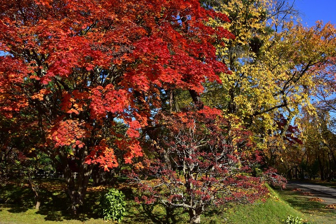 DSC_3926