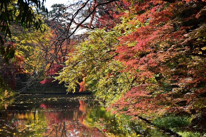 DSC_4027