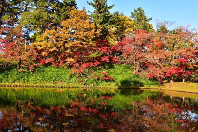 DSC_3776 -