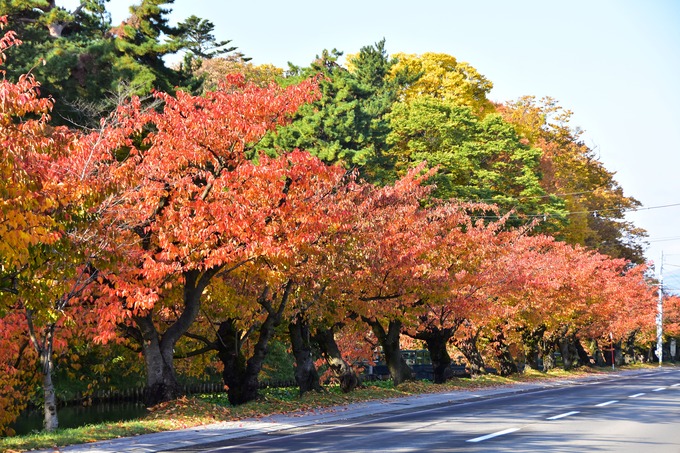 DSC_3804 -