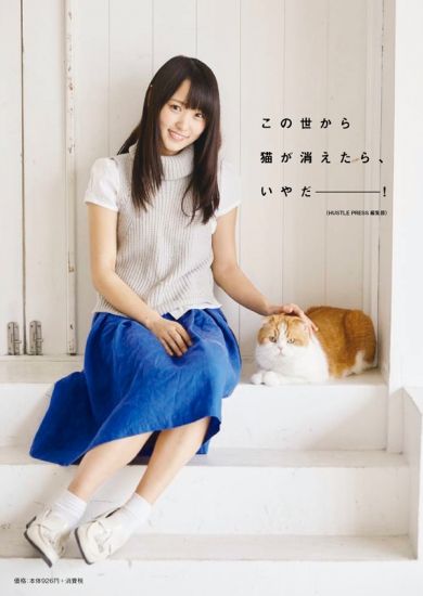 欅坂46 菅井友香さんの飼い猫 菅井トムくん 乃木坂交差点 欅坂46 菅井友香さんの飼い猫 菅井トムくん 乃木坂交差点