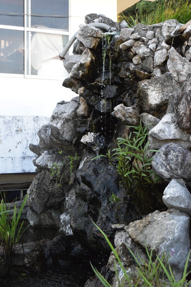 DSC_0583.jpg DSC 0583
